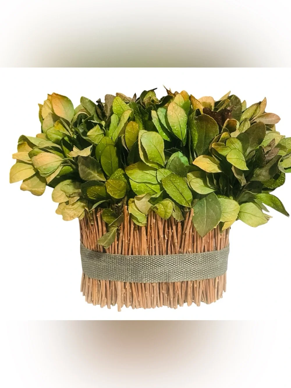 Boho Coastal Faux Tea Leaf Arrangement in Rustic Twig Basket Cottagecore Accent